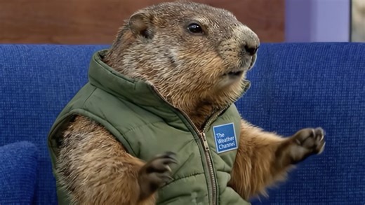 Weather Channel introduces AI groundhog to help with wide range of predictions