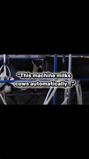 Next-Level Automatic Milking Machine | Smart Dairy Tech” ✅