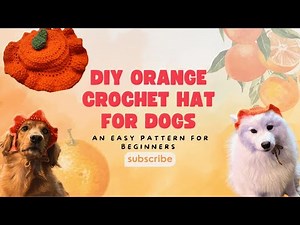 DIY Crochet Orange Hat for Dogs 🍊 | Easy Dog Hat Tutorial