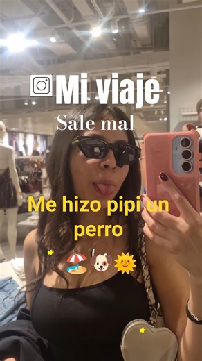 Me voy a playa *SALE MAL* 🐶 #shorts #viaje #playa
