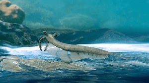 Animation Extinct Prehistoric Species Anomalocaris On Stock Footage Video (100% Royalty-free) 3638759461 | Shutterstock