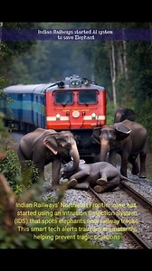 Indian Railways' Northeast Frontier zone has started using an Intrusion Detection System (IDS) that spots elephants near railway tracks. This smart tech alerts train drivers instantly, helping prevent tragic collisions #viralpost2025シ #techgainer #railway #savelifes #viralposts @top fans Techgainer | Techgainer