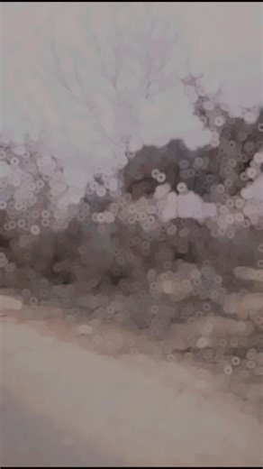 A༄ᶦᶰᵈ᭄✿—͟͞͞★𝙰𝙱𝙷𝙸𝚂𝙷𝙴𝙺 ×͜× ☣️⸙🔱A༄ᶦᶰᵈ᭄✿ on Instagram: "💝100K O!❤️‍🔥 10K💙30K +50K#1080 what .4 #trending + LIKE+ + !! SHARE + +COMENT.+"