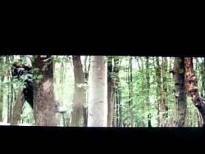 DragonHeart Scene Bowen vs Draco