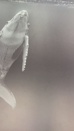 These prints look so insane in person! Thank you to everyone who ordered one! If you wanna shop my prints visit my website www.slatermoore.photography/shop | Slater Moore Photography