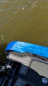 76 reactions | Catching a Fox River walleye on a hairjig #fypchallenge #foxriver #walleyefishing #YarCraftBoats #mercurymotors #guidedtrips #booknow #diehardangling | Diehard Angling | Facebook