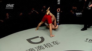 983K views · 1.3K shares | "The Southern Eagle” spread his wings and...