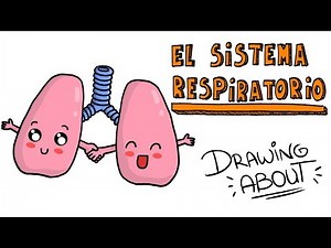 The Respiratory System | Drawing About with @GlóbuloAzul