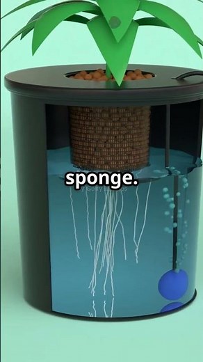 Hydroponic Farming: Build Your Own Model! #sustainableagriculture