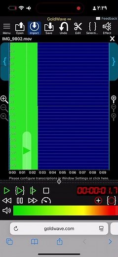 Swist Major On GoldWave