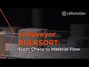 Automated conveyor system | celluveyor BULKSORT