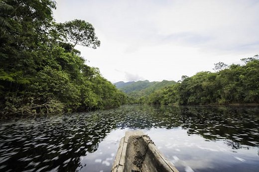 8 of the best things to do in Guyana, South America - Lonely Planet