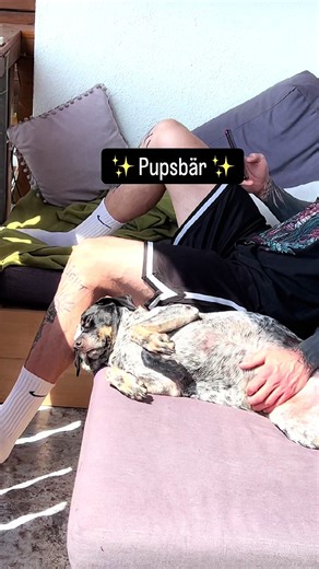 Fun fact: Trudi hört auch auf Nudel 🥰