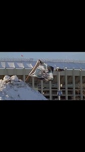 49K views · 3.1K reactions | GO BIRDS | DelcoDelphia | Facebook