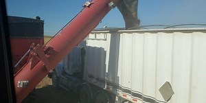 Global trends and emerging market issues highlighted in CGC's new science strategy