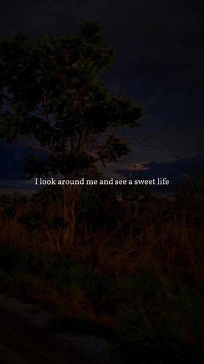 Slowedsongs Flashlight Lyrics Sound