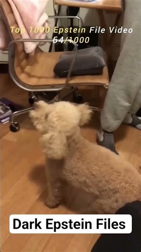 Epstein File 64/1000 | Trial Proceedings & Verdict File 64