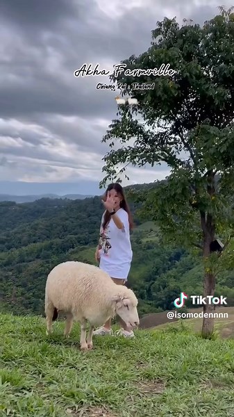 Step-by-Step Guide to curriculum design Demystified #Learn #Education