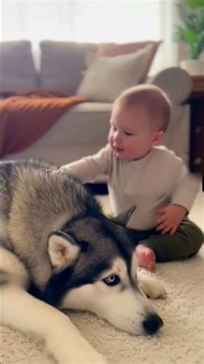 dog and kid love