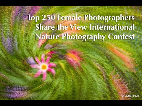 NEW! Women Photographers Featured in the Top 250 Share the View Photos