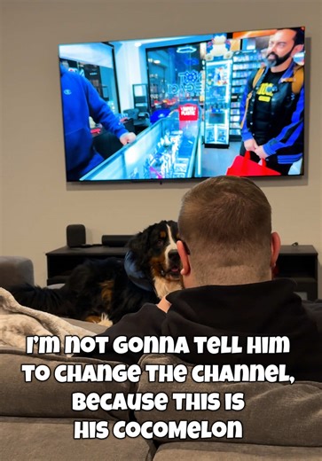 Plus, we really enjoy watching @Deep Pocket Monster together anyways, so… win win! 👀🥹🙌🏻🤭 • #pokemon #lifewiththepandas #pokemoncards #marriedlife #deeppocketmonster @LifewithPanda