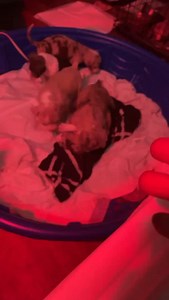 Black Air Force ones energy | Ronald Jones