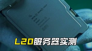 智慧工程AI质检系统算力支持，L20定制服务器