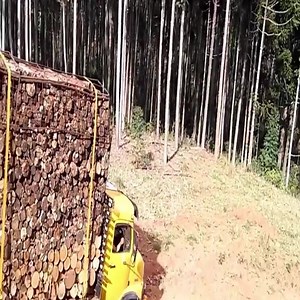 268K views · 1.2K reactions | Wood Truck Loads Very Heavy | Extreme Machines | Facebook