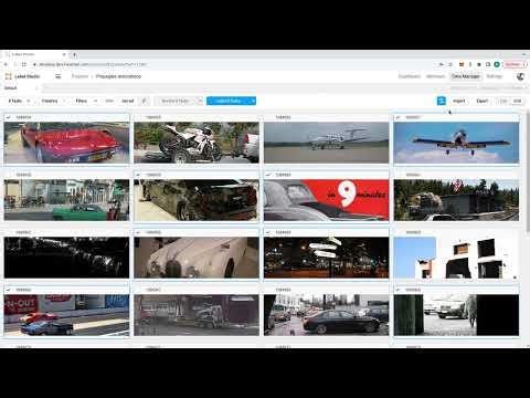 Label Studio - Batch labeling using grid view & Propagate annotations