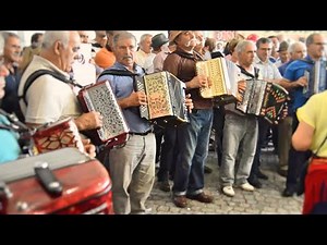 20 Concertinas a Tocar a mesma Música.LINDO!