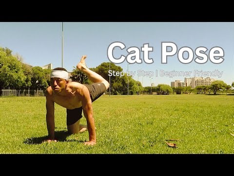 Cat Pose (Marjaryasana) for Beginners | Step-by-Step Yoga Tutorial