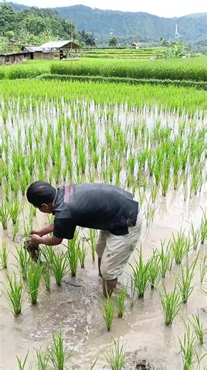 Keuntungan Investasi di Properti dengan Minimal DP