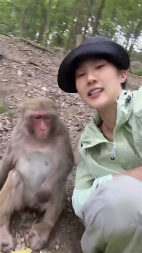 Monkey Tried Copying the Boss’s Angry Face and Totally Nailed It 😂🐵