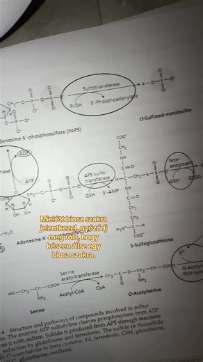 Mielőtt biosz szakra jelentkezel…☝🏻 #biology #egyetem #study #biologist #biológia