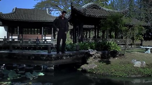 Ninja 2 - A Vingança (2013) - Dublado