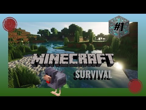 Nuova survival - Minecraft ITA #1 #minecraftitalia