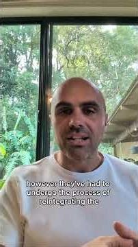 “From Innocence, to Fragmentation, to Integration”