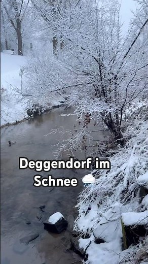 Deggendorf im Schnee – wie aus einem Märchen ❄️