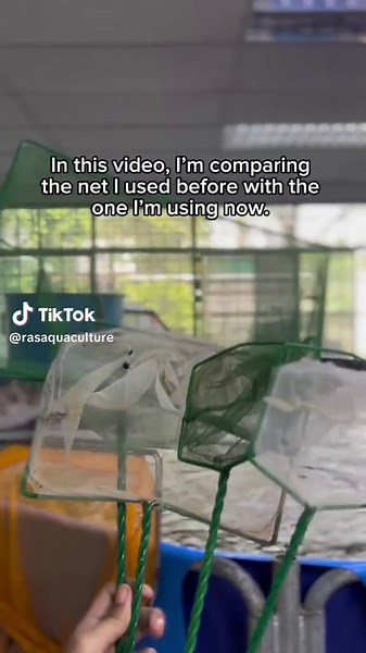 Anyone here working in aquaculture? 🦐🦀🐟 What type of net do you usually use at your farm? The green one or something else? I’m curious to know what works best for you guys. For further information: 📞 Contact: 60163764369 📧 Email: sales@ras-aquaculture.com #aquaculture #aquaculturelife #shrimpfarming #fishfarming #crabfarming