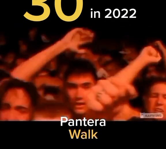 #GameTok #30years #heavymetal #ilovethe90s #90smusic #90s #pantera