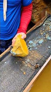 The process of finding traditional gold using a carpet with an amazing result of $1.357 ,amazing