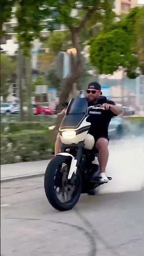 Fat Bob 114