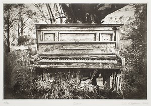 Silvi Glattauer - Photopolymer Photogravure Art Process