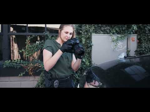 SHIELD Sights OMSsc & Springfield Armory collab on the new Hellcat .380 platform.