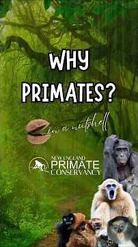 WHY Primates?—Heroes of Biodiversity