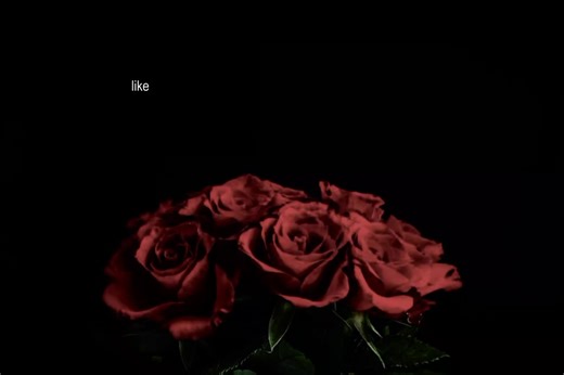 Explore Gabriela Katseye Lyrics and Edits