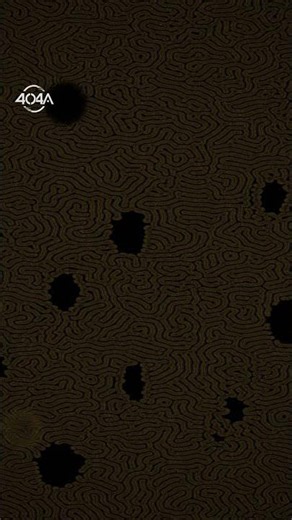🎧 404A — Threshold Techno (147 BPM) #Shorts