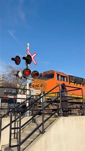 家族散歩#shorts#カナダvlog #カナダ生活 #海外生活vlog #楽しい時間過ごし方 #楽しいひととき #楽しい時間 #幸せstyle #幸せ時間 #幸せな家族#家族vlog #家族時間