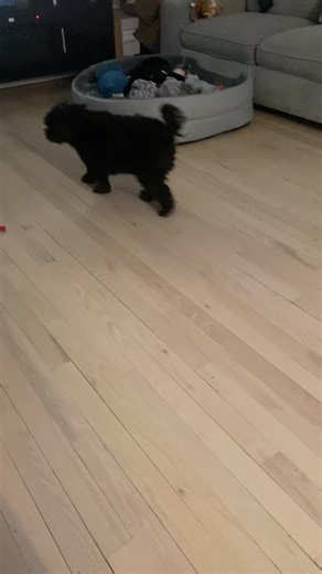 Aida (@aida80422)’s videos with Mission Impossible Theme (Movie Trailer Mix) - Dominik Hauser