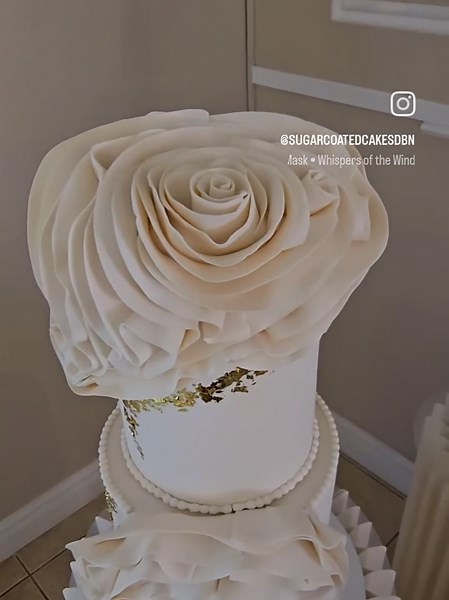 Sugar Coated Cakes by Sasha on TikTok